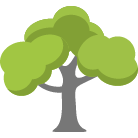 Gilbert Tree Removal Service